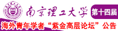 被大jb艹内射在线播放南京理工大学第十四届海外青年学者紫金论坛诚邀海内外英才！